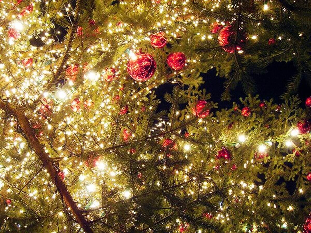 60 frases bonitas para profesoras y profesores, image size:1200x900